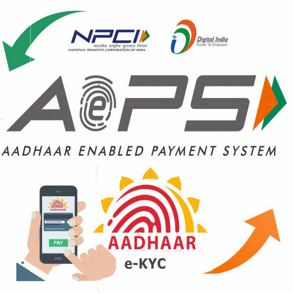 AEPS Solutions: Empowering Distributors and Agency Providers